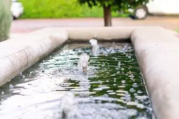 پانسیون Green Valley Lodge