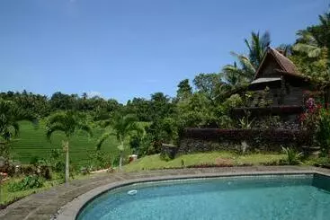 Bed and Breakfast Bali Lush