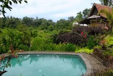 Bed and Breakfast Bali Lush
