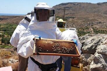 Apartamenty turystyczne Terra Minoika Boutique Resort