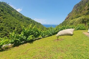 استراحتگاه Terrabona Nature & Vineyards