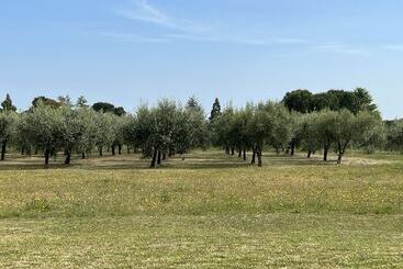 Lägenhetshotell Valle Di Venere