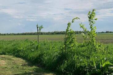 Bed and Breakfast Fields 1216