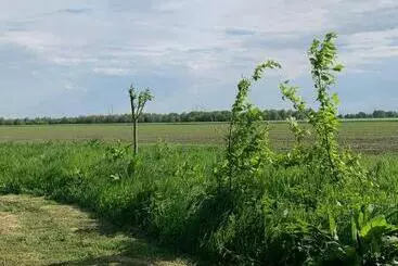 Aamiaismajoitus (B&B) Fields 1216