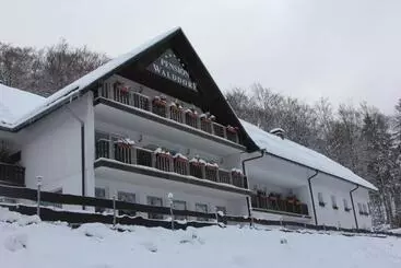 هتل Pension Walddorf