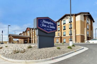 酒店 Hampton Inn & Suites Douglas