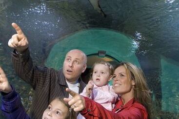 Magic Hotel Solheimsviken