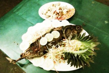 Pensionat Sinhagiri Villa