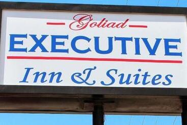 فندق على الطريق Executive Inn Goliad