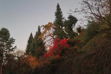 בית מלון כפרי Käfernberg   Wein