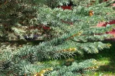 ホテル Ani Resort