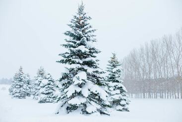 A Breath Of Heaven B&b