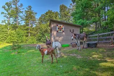 Mökkimajoitus Rustic & Authentic Farm Stay By Dupont Forest!