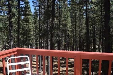 茅舍 Markleeville Cabin