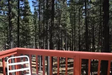 コテージ Markleeville Cabin