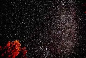 Lomakeskus Lake Ruataniwha Holiday Park