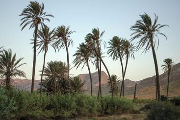 هتل Cortijo Boutique Siete Calas
