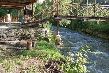 Pension зелений рай