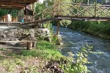 Pensió зелений рай