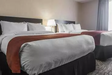 Hotel Quality Inn & Suites Kingston