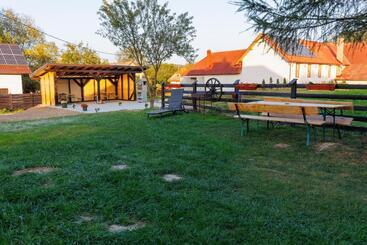 Bed and Breakfast Casa Iager   Vama Buzaului