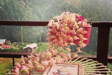 فندق Ayder Doga Resort