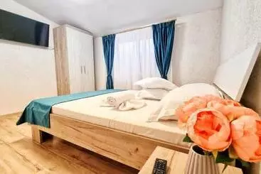 Pension Casa Otilia   Tuzla