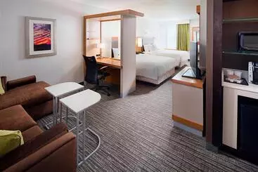 ホテル Springhill Suites By Marriott Carle Place Garden City