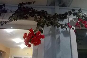 בית מלון כפרי Spiros