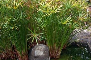 호스텔 Posada Tia Miny