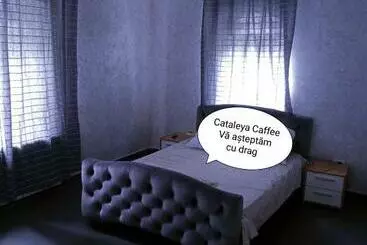 ユースホステル Cataleya Caffee
