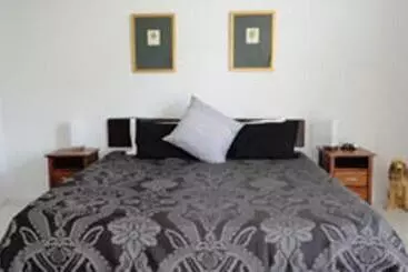 ホテル Daintree Wild Bed & Breakfast