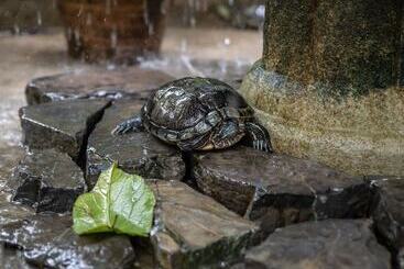 هتل Angeli Gardens Boutique