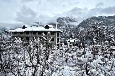 Hotel Prakash Regency Sangla