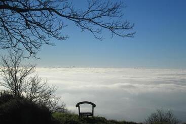 تختخواب و صبحانه Montalma