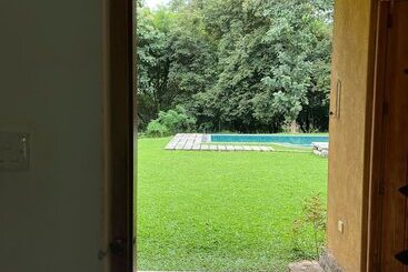 Rivendell Twisted Tree