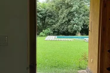 Rivendell Twisted Tree