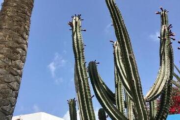 Pensión Casa Cactus