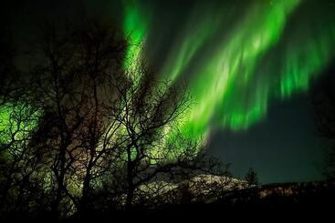 بنسيون Guest Suite With Hot Tub   Edge Of The Wild