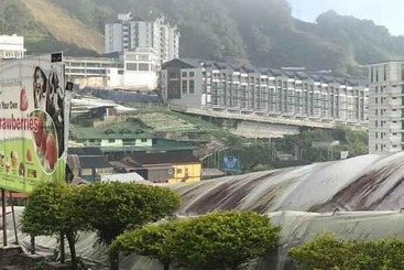 Hotel Cameron Kea Farm