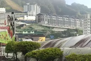 ホテル Cameron Kea Farm