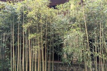 Hotel Yen Tu Boutique Zen Garden