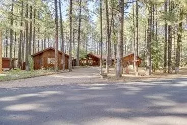 コテージ Pinetop Cabin W/ 2 Fireplaces & Hot Tub!