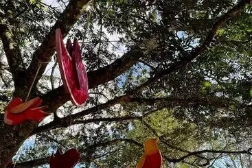 Hostal Sítio Areia Branca