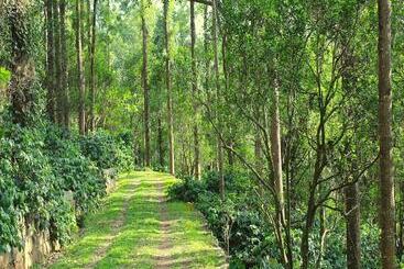 Resort The Last Shola