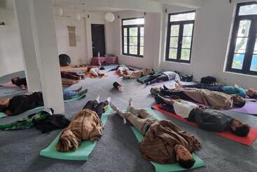 פנסיון Tripzlabs