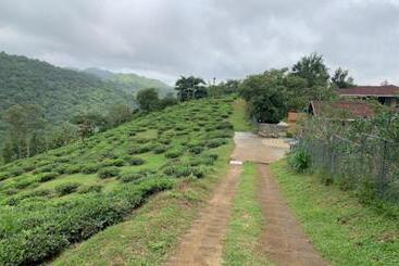 Bed and Breakfast Clouds View Nature Resort