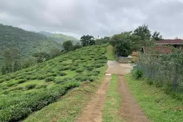 Aamiaismajoitus (B&B) Clouds View Nature Resort