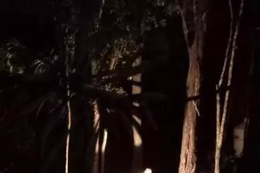 هتل آپارتمان Ahal