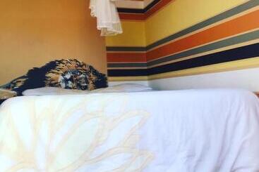 Auberge Hôtelière Paradisegarden Backpackers